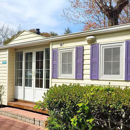 مخيم فوسينا مالكونتينتا